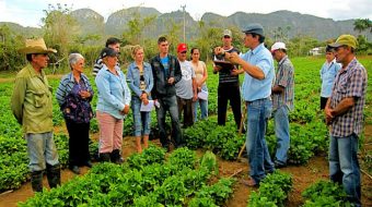 Cooperativismo Agropecuario