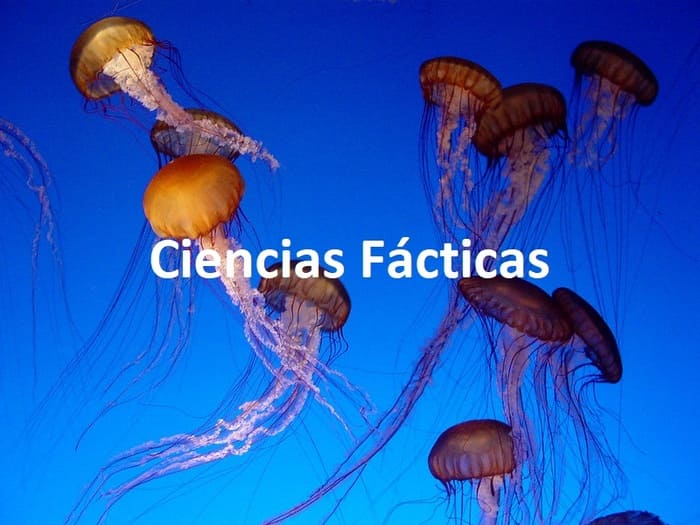 Ciencias-fácticas