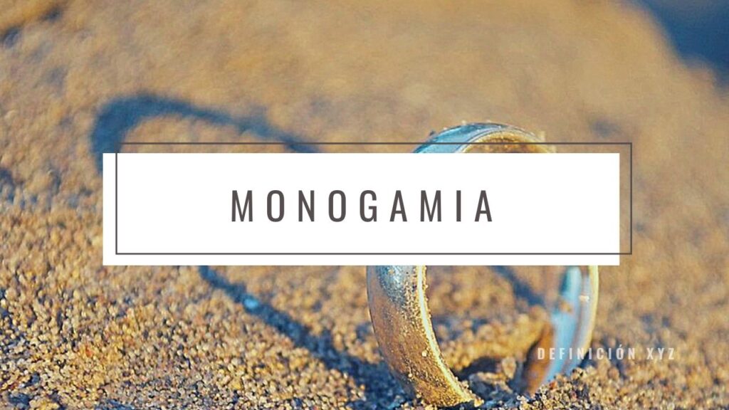 monogamia
